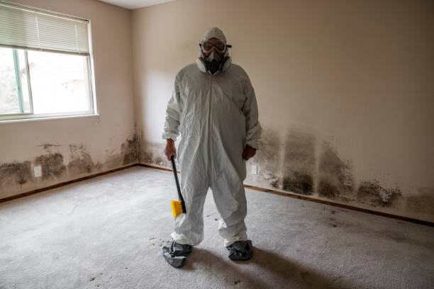 Best Residential Mold Remediation in Owensville, IN